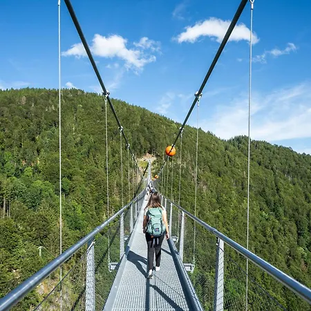 Bergerhoeh Todtnauberg