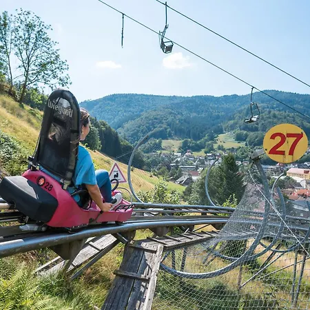 Apartamento Bergerhoeh Todtnauberg