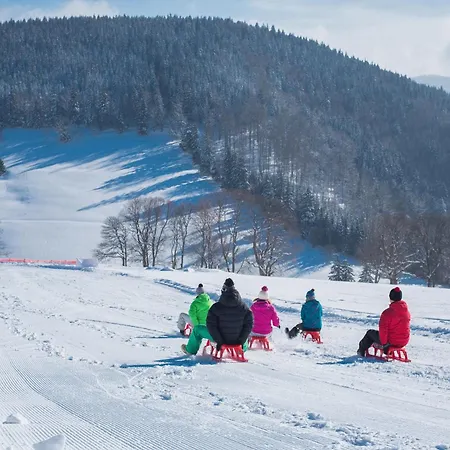 Bergerhoeh Todtnauberg