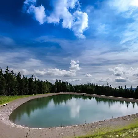 Lejlighed Bergerhoeh Todtnauberg