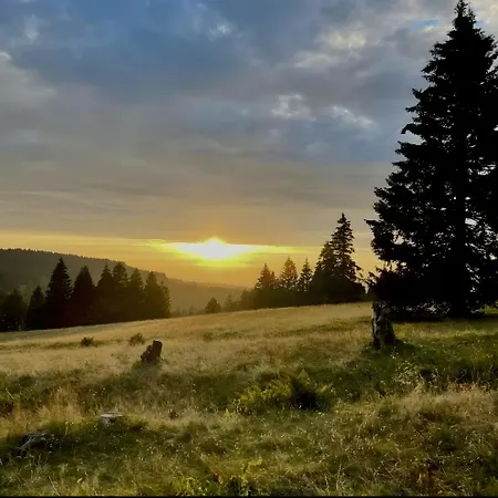 Bergerhoeh * Todtnauberg