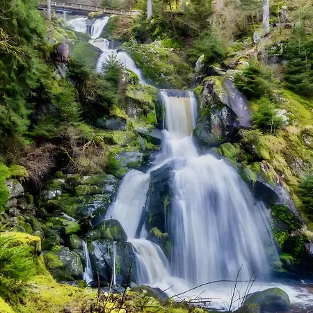 Apartamento Bergerhoeh