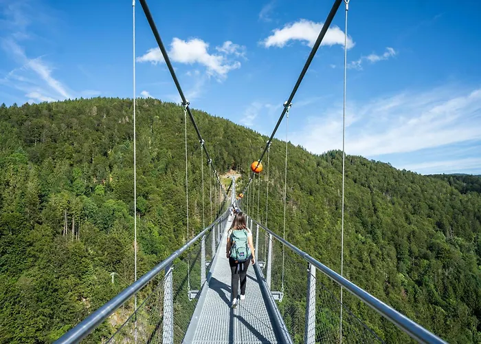 Bergerhoeh Тодтнауберг