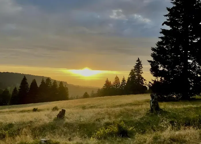 Bergerhoeh * Тодтнауберг