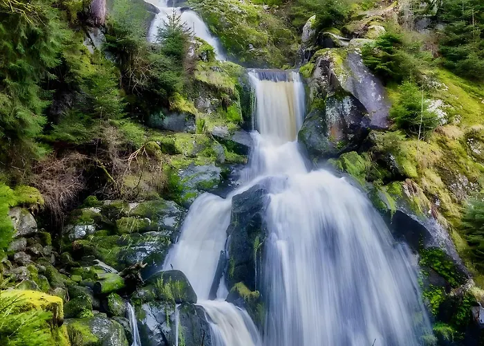 Апартаменты Bergerhoeh